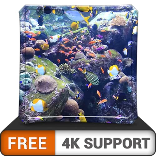 acquario HD di bellezza acquatica gratis - decora la tua stanza con...