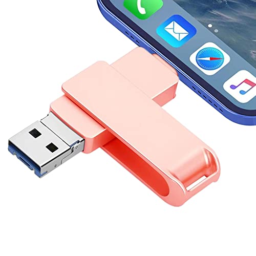 256GB Chiavetta USB per Phone Memoria USB Esterna Flash Drive PenDr...