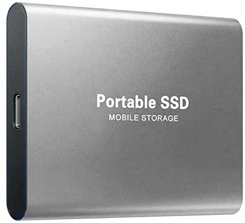 4TB External Solid State Drive Mobile External Hard Drive SSD USB 3.1 Type-C 4000GB Suitable for Desktop & Laptop,Windows PC,Mac,Linux (4tb, silver-1)