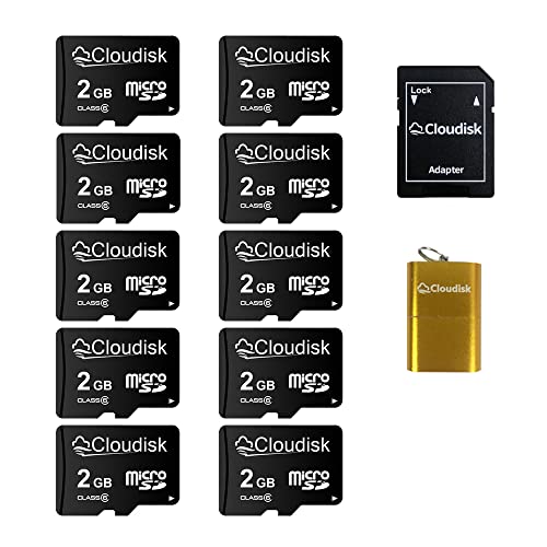 Cloudisk Confezione da 10 schede Micro SD con adattatore MicroSD Scheda di memoria per lettore di schede (2GB)