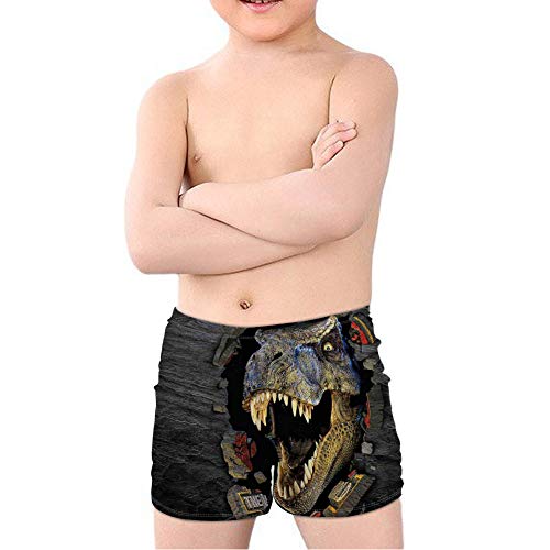 Coloranimal Teen Boy Cool Animal T-Rex Dinosaur Swim Trunks Batjing Suit Beach Board Shorts Swinwear Quick Dry 5-14Y T-rex Dinosauro 01 7-8 Anni