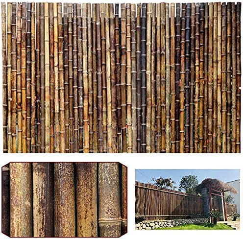 FGVBC Paravento per Esterni in bambù Recinzione Recinzioni Decorative Terrazze e Giardino antiestetico Sono Originali Paravento in bambù Recinzione Paravento in bambù per Giardino
