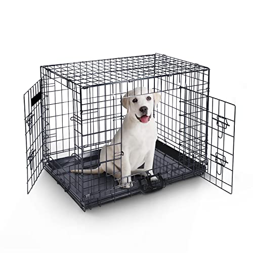 Gabbia per cani 76x46x53cm – gabbia pieghevole in metallo con due porte, vassoio in plastica anti morso e maniglia da trasporto – perfetto per l’addestramento dei cuccioli