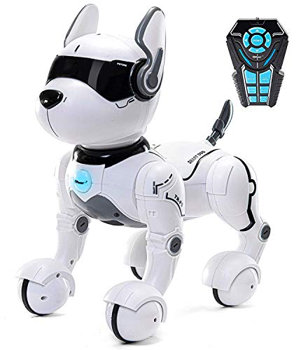 Giocattolo per cani con robot telecomandato, Robot per bambini, Giocattoli Rc Robot per bambini 2,3,4,5 e oltre, Robot e giocattolo danzante, Imita animali, Mini animale - (il cane parla solo inglese)