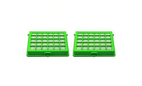 Green Label Confezione da 2 Filtri HEPA per gli Aspirapolvere Rowenta e Moulinex Compacteo Ergo, City Space, Accessimo (Alternativa a ZR004501)