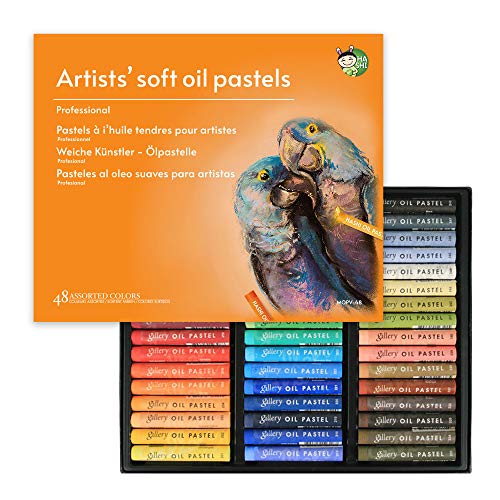 HASHI - Pastelli a olio morbidi non tossici per artisti e professionisti, set di 48 colori assortiti