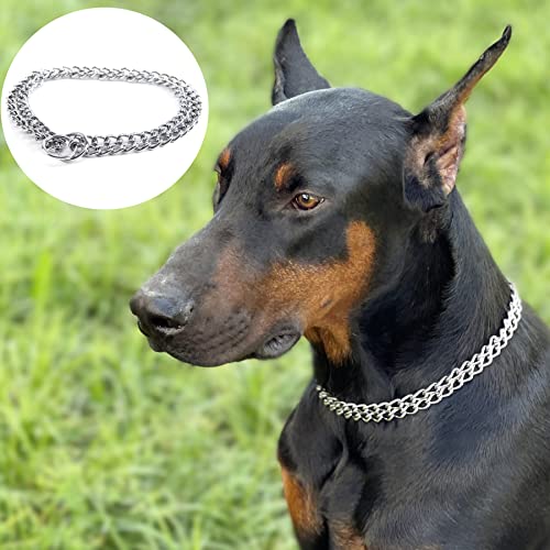 JYHY Luxury Dog Choke Collar Slip P Catena – Pet Ferro Metallo Catena Doppia Fila Collo Camminare Formazione Small Medium Large Dogs
