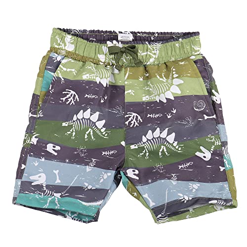 LACOFIA Pantaloncini da Bagno per Bambino Costume da Bagno da Spiaggia Elasticizzato in Vita da Bambini Dinosauro 7-8 Anni
