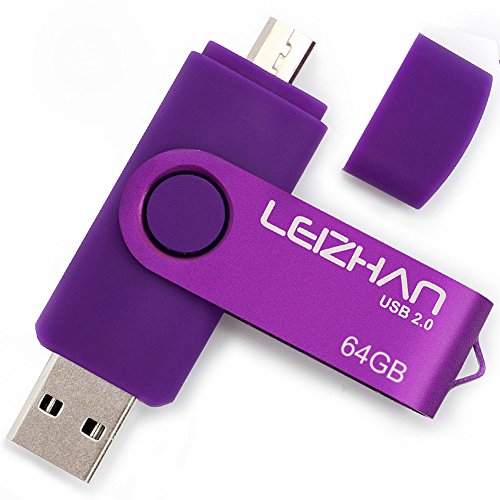 LEIZHAN PenDrive 2.0 64GB Chiavetta USB Memoria Stick OTG(On the Go) 2 in 1(Micro USB & USB 2.0) Flash Drive Supporto Telefono Android Tablet PC Porpora