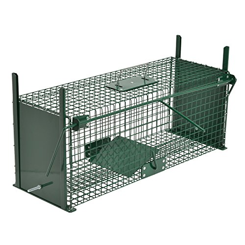 Moorland Trappola a cassetta per catturare animali vivi safe 5067 - gabbia metallica per lepri, conigli, gatti, volpi.