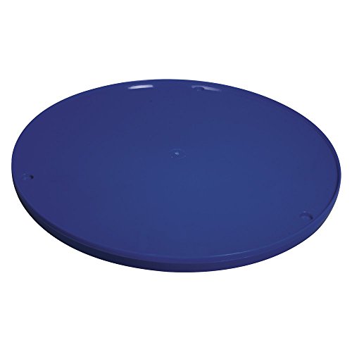 Rayher 8925900 Disco Girevole In Plastica, 27 cm Ø, Blu, Tornio Ma...