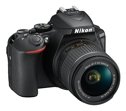 Nikon D5600 + AF-P DX NIKKOR 18-55 mm f 3.5-5.6 G VR, Reflex Digitale, 24.2 Megapixel, LCD Touch ad Angolo Variabile 3 , Bluetooth, SD 8 GB 300x Premium Lexar, Nero [Nital Card: 4 Anni di Garanzia]