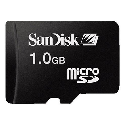 SanDisk 1 GB Micro Secure Digital (Micro SD)