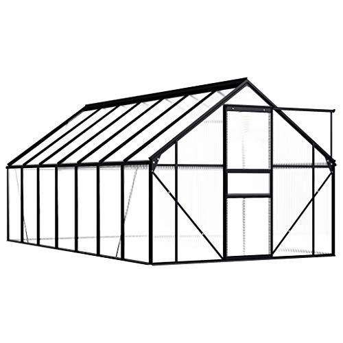 Tidyard Serra Antracite in Alluminio 8,17 m²,Resistente ai Raggi UV, Tetto Spiovente, da Esterno, Letto Caldo, Trasparente