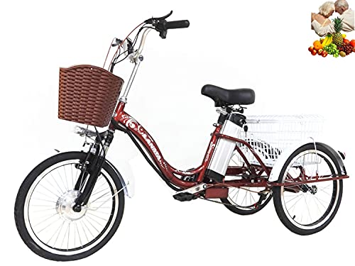 Triciclo elettrico per adulti a 3 ruote con assistenza elettrica 20   con carrello per genitori e famiglia bici a tre ruote bici da donna batteria al litio 48V12AH Carico massimo 330 libbre