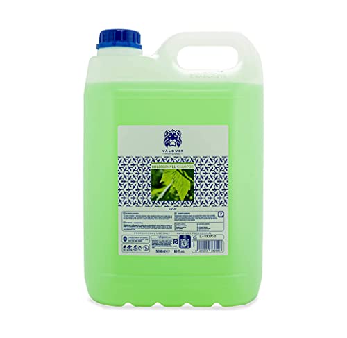 Valquer Profesional Shampoo alla Clorofilla - 5000 ml