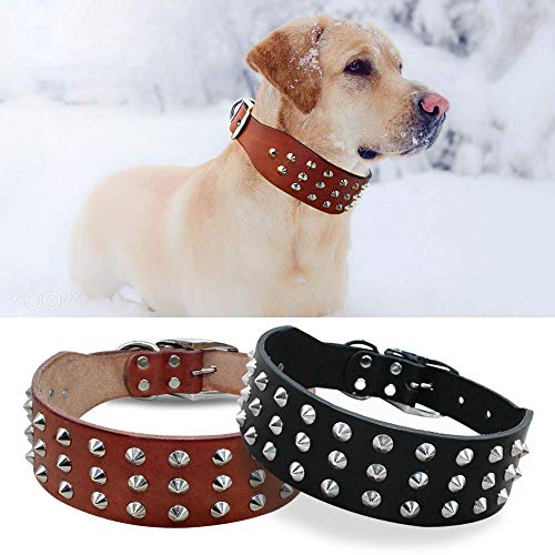 Wishdeal Collare per cani in vera pelle per cani di taglia piccola, media e grande, colore nero, marrone, con bulldog Pitbull (nero, L)