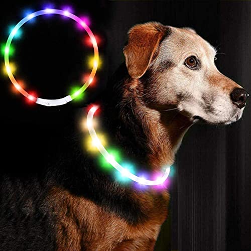 AMOMYDOG Collare Luminoso per Cani, Collare Cane LED USB Ricaricabile con 2 Modalità Illuminazione, Collare Di Sicurezza Tagliabile per Cani Gatti di Taglia Piccola Media Grande (Multicolore)