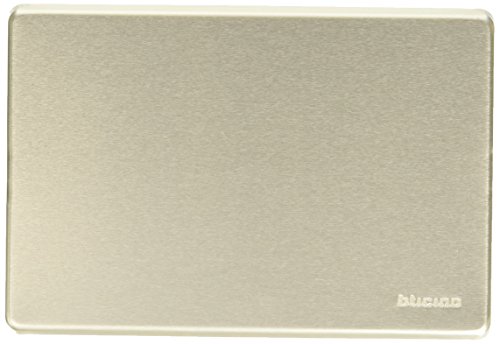 BTicino 503 0 X F Magic Placca, Cieca, Alluminio Anodizzato, Argento