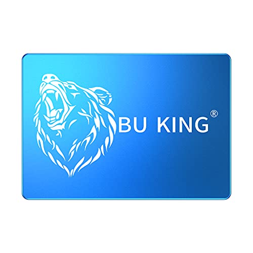BU KING SSD da 120 GB SATA3 interna da 2,5 pollici Unità a stato solido fino a 300 M S Testa di orso blu Blu