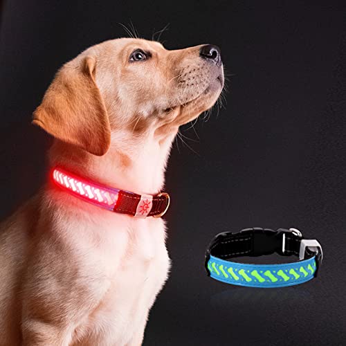 Collare Luminoso per Cani, Omoomo Collare per Cane LED USB Ricaricabile con 3 Modalità D ardore e Misura Regolabile, Ultra Luminoso Collare Led per Cani Gatti(S)