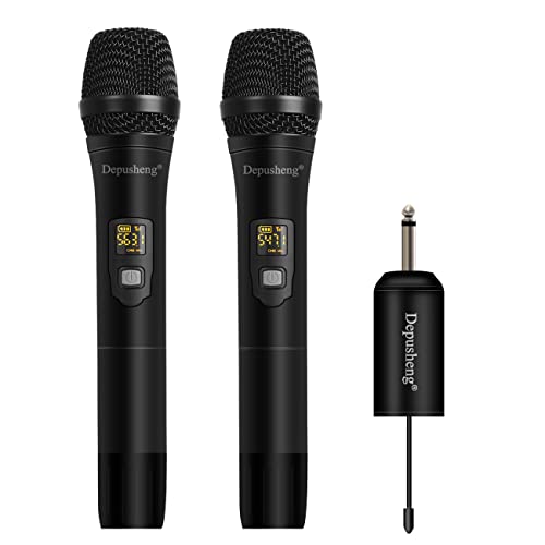 Depusheng W2 Altoparlante UHF con microfono a LED portatile con microfono wireless UHF con ricevitore portatile
