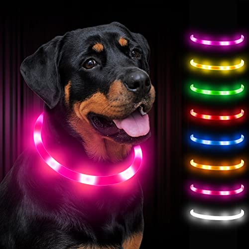 Dynmeow Collare Luminoso per Cani,8 Colori,Ricaricabile LED Collare Lampeggiante di Sicurezza per Cane di Taglia Piccola Media Grande