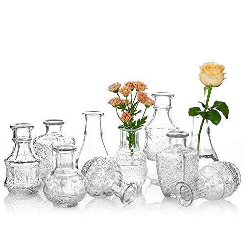 Glasseam Vaso di Vetro per Fiori Set di 10 Vasi di Gemme Vintage Trasparenti Dolce Mini Pisello per Centrotavola Decorazioni per Interni