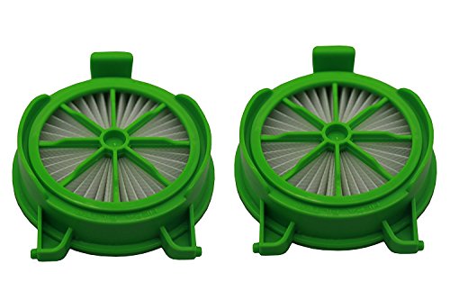 Green Label Confezione da 2 Filtri HEPA per gli Aspirapolvere Rowenta Powerline (Alternativa a RS-RH5024 e D230466)