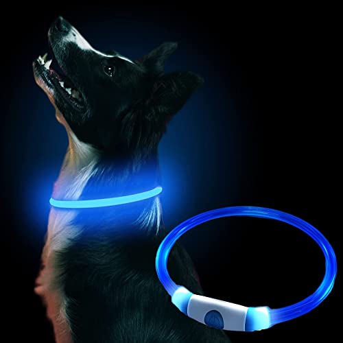 iJiZuo Collare Luminoso per Cani, Collare di Cane Impermeabile, Ricaricabile USB LED Collare Luminoso di Sicurezza per Animale Domestico con 3 modalità, per Tutti i Cani Gatti (Blue)