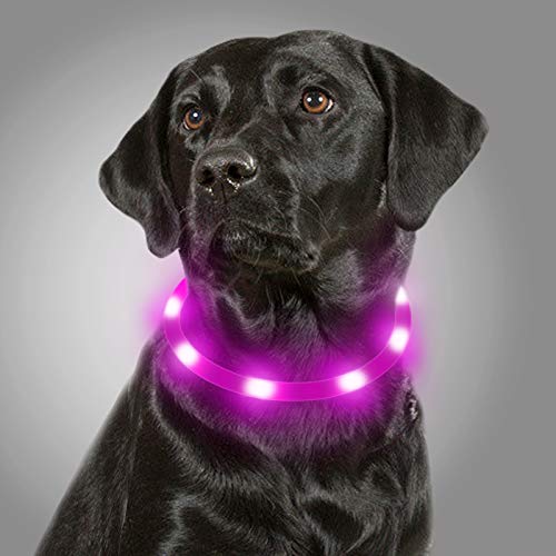 Joytale Collare Luminoso per Cani, Collare di Cane LED Ricaricabile USB, Collare di Sicurezza con 3 Modalità Luminose per Cani di Taglia Piccola Media Grande, Viola