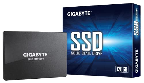Gigabyte gp-gstfs31120gntd SSD INT 120 GB SATA – (  periferiche)