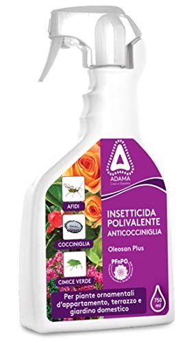 Oleosan Plus insetticida polivalente Anti cocciniglia afidi cimici 750 ml