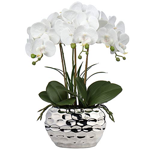 Orchidea artificiale Phalaenopsis - Fiori decorativi per orchidea, ...