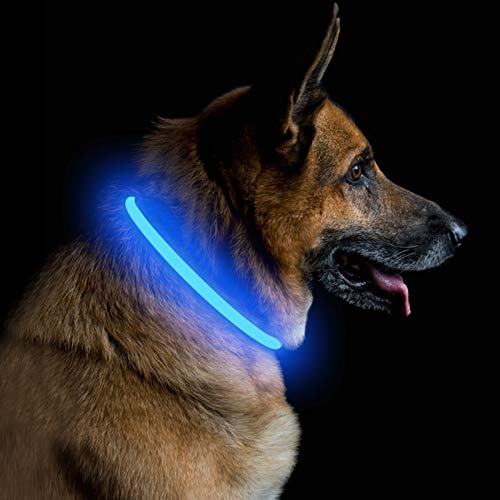 PetIsay Collare di Sicurezza per Cani a LED Ricaricabile USB Super ...