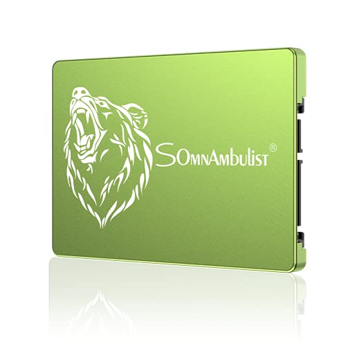 Somnambulist ssd sata 2tb 480gb 60gb 240gb 120gb 960gb 2tb SATA3 disco rigido disco SSD da 2,5 pollici (orso verde 60GB)