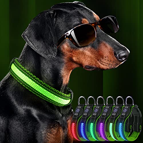 SulputuX Collare Luminoso per Cani Ricaricabile, 7 Colori e 4 Modalità Misura Regolabile LED Collare Cane Taglia Piccola Media Grande (M, verde)
