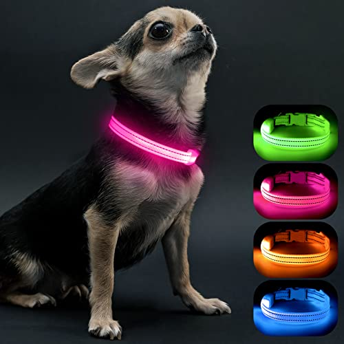 Collare con luce LED per cani Animali Cani Collari e guinzagli Collari Nero 