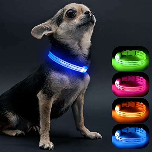 Visinite collare luminoso per cani,Collare per cani Light Up Cane di piccola taglia, Collare per cani a LED con luce per il buio, Collare per cani lampeggiante notturno Ricaricabile,Blu