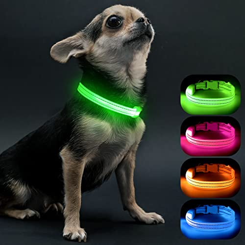 Animali Cani Collari e guinzagli Collari Verde Collare notte con luce LED per cani taglia L 