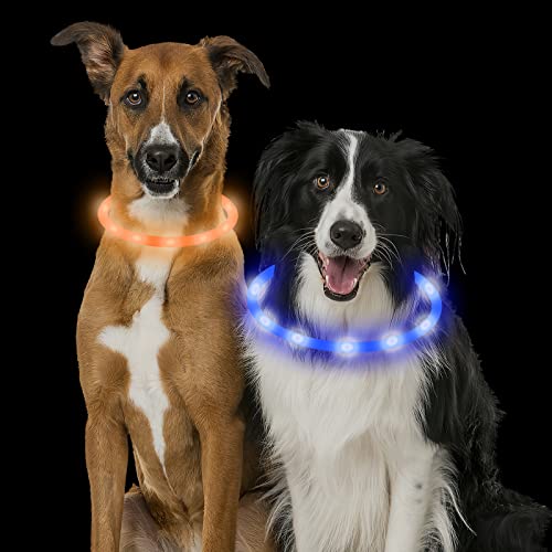 VOSSOT Collare luminoso per cani, 2 pezzi, LED per cani, ricaricabile, USB, lunghezza regolabile, impermeabile, con tre modalità di illuminazione per cani e gatti (blu, arancione)