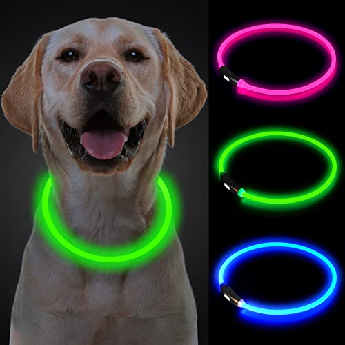 Yepnfro Collare Luminoso per Cani, collare luminoso per cani ricaricabile USB, collare di lunghezza regolabile impermeabile con 3 Modalità Luminose per Cani di Taglia Piccola Media Grande e Gatti