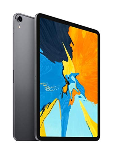 2018 Apple iPad Pro 1st Gen (11 inch, Wi-Fi, 64GB) Grigio Siderale ...