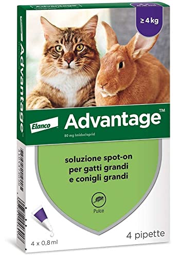 Advantage Soluzione Spot-On Gatti Con. 4 Pipette, 0.8 ml...