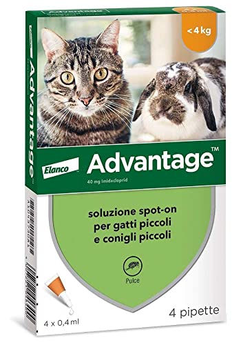 Advantage Soluzione Spot On per Gatti e Conigli Piccoli, 40 mg, 4 Pipette