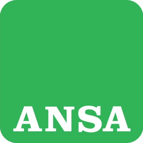 Ansa Mobile