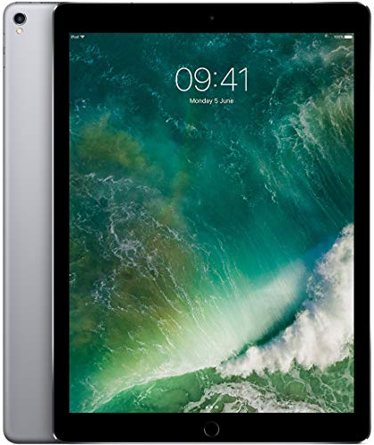 Apple iPad Pro 12.9 (2nd Gen) 64GB Wi-Fi - Grigio Siderale (Ricondizionato)
