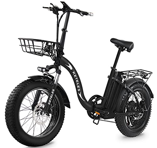 Bicicletta Elettrica Pieghevole 20  E-Bike, Fat Bike elettrica con 48V 15AH Batteria Rimovibile, 250W Motor, Bici Elettriche da Montagna da Città, per Unisex Adulto Uomo e Donna