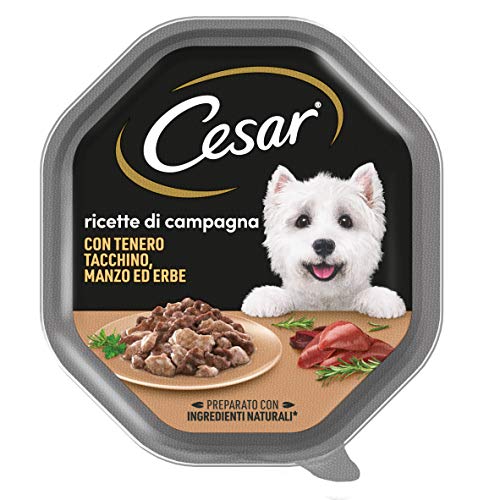 Cesar Ricette di Campagna Cibo per Cane con tenero Tacchino, Manzo ed Erbe 150 g - 14 Vaschette