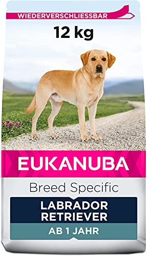 Eukanuba Breed Specific Alimento Secco per Labrador Retriever Adulti, Cibo per Cani Adattato in Modo Ottimale alla Razza 12 kg, la confezione può variare
